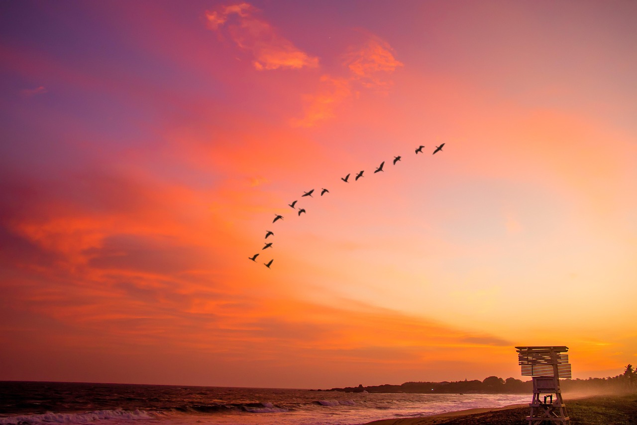 Sunset over Galle Face Green promenade in Colombo, Sri Lanka, with families, kite sellers, and the Indian Ocean in the background.